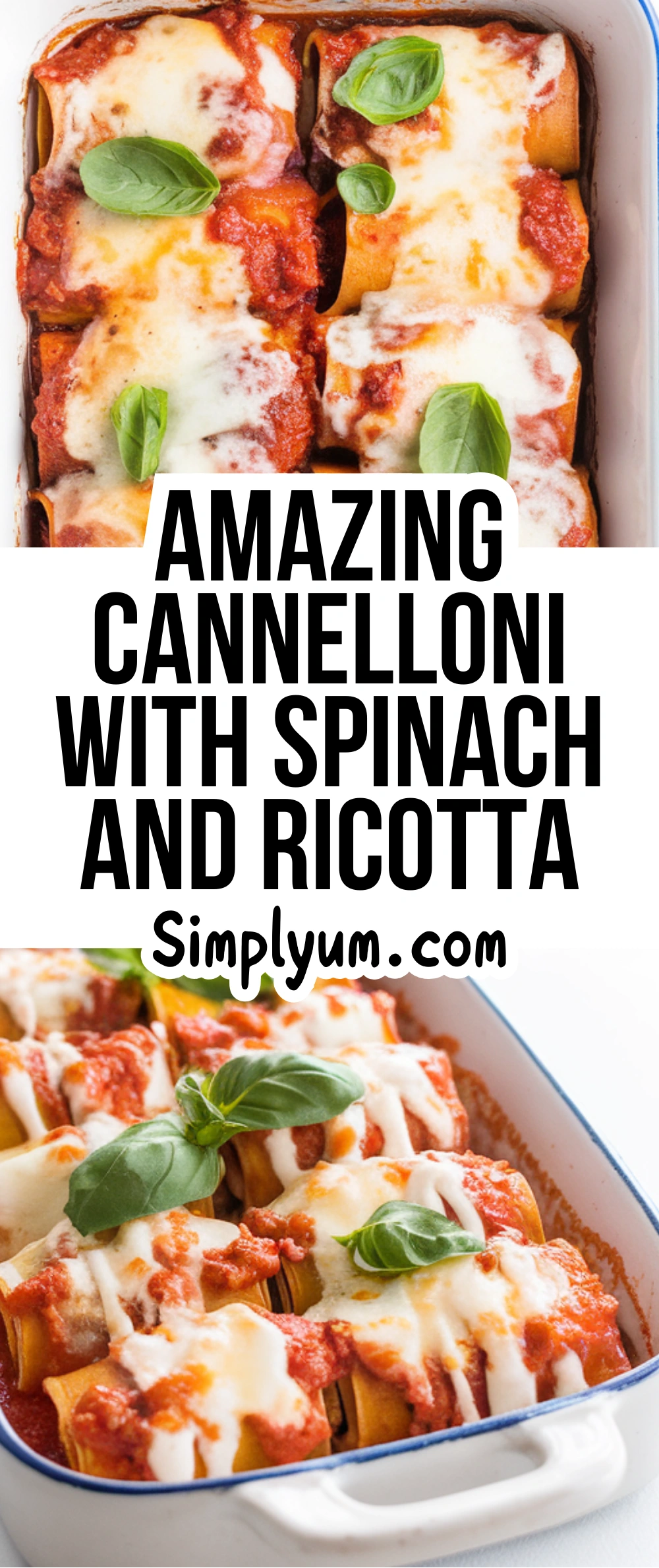 Cannelloni with Spinach and Ricotta