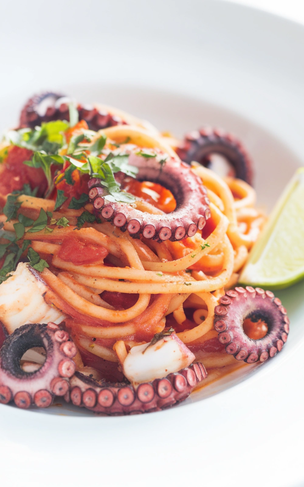 Baby Octopus and Tomato Spaghetti