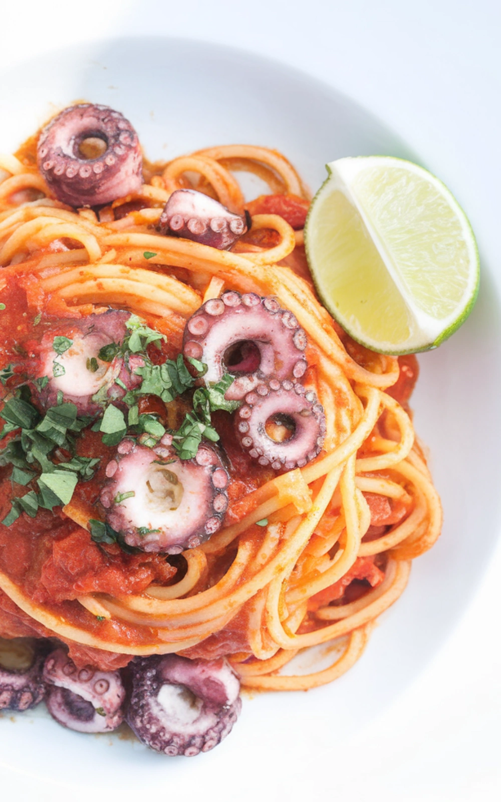 Baby Octopus and Tomato Spaghetti