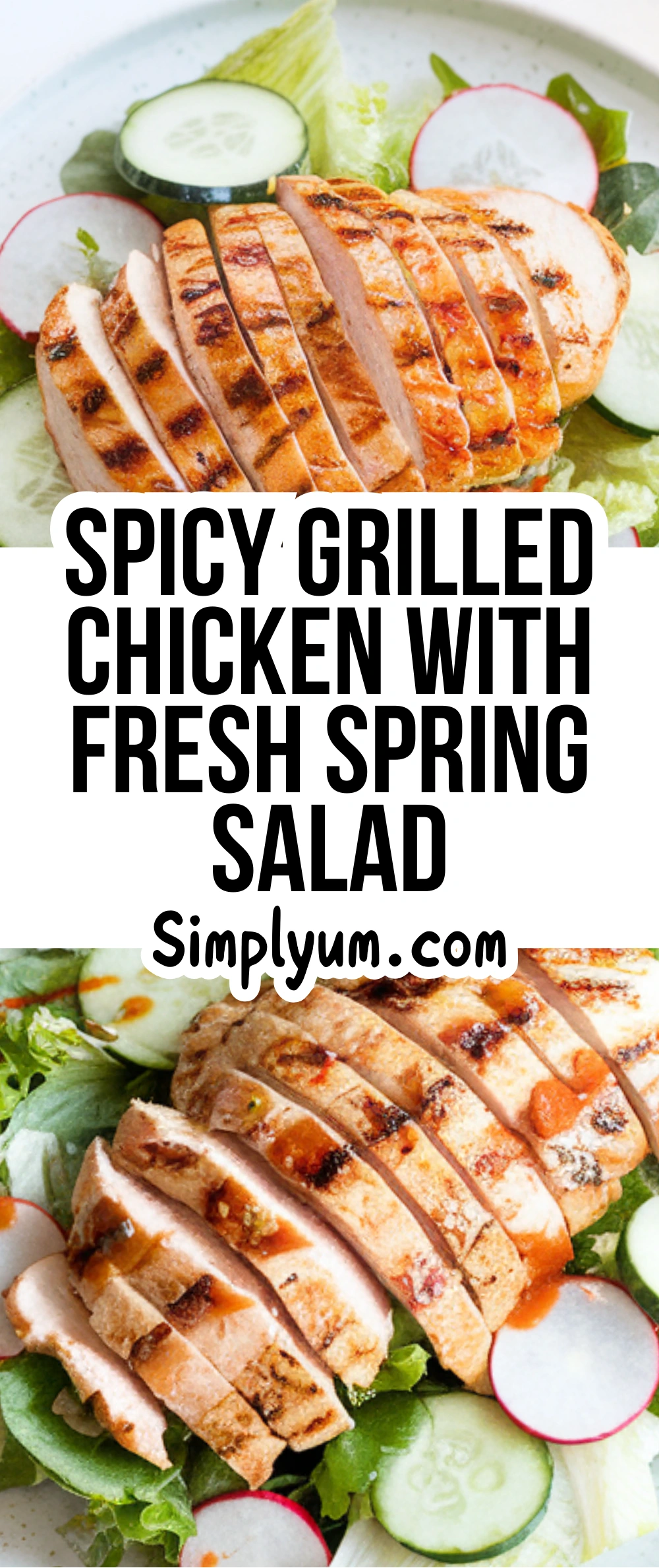 Grilled Chicken with Fresh Spring Salad