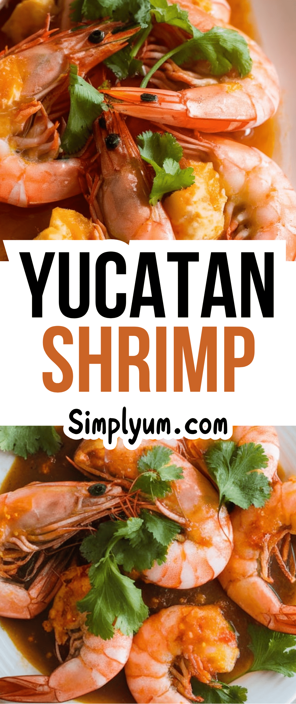 Yucatan Shrimp